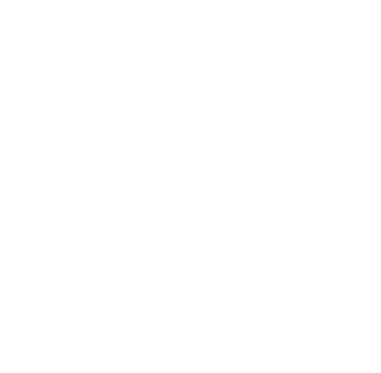 IR-TOPO-LOGO_WH