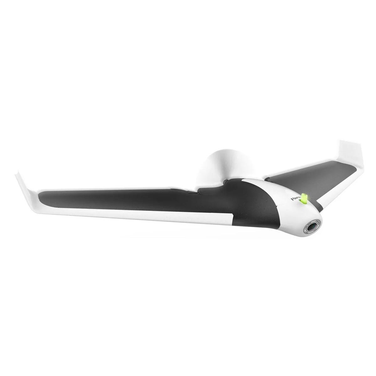 Parrot-Disco-1